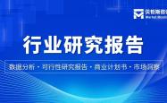 开云体育APP下载-2025年棒球配件行业报告-市场规模、潜力及增长趋势
