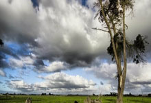 kaiyun-全球棋局：2026赛季WTA巡回赛赛历的战略蓝图