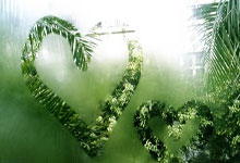 kaiyun-江门网球场地租赁优质机构推荐