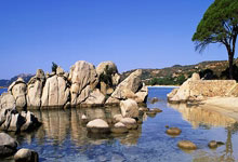 开云体育在线-這(zhè)场电竞比赛破了吉尼(ní)斯世界紀(jì)录！