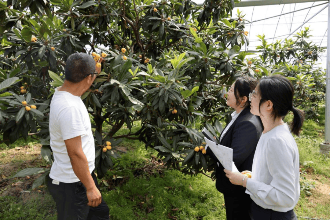 宁波银行,打出一记漂亮的ACE球